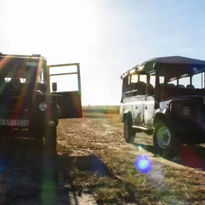 Explore East Africa Encounter for 30 days with Absolute Africa and discover unforgettable experiences - Photo 7