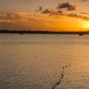 Explore Vic Falls to Dar Es Salaam for 11 days with Absolute Africa and discover unforgettable experiences - Photo 2