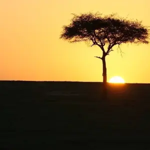 Explore Short safari in Kenya, with game drives in the Masai Mara for 6 days with Absolute Africa and discover unforgettable experiences - Photo 5