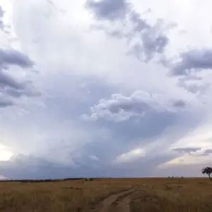 Explore East Africa Encounter for 30 days with Absolute Africa and discover unforgettable experiences - Photo 9