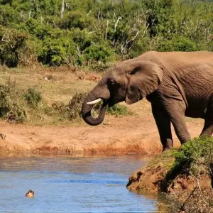 Explore The Garden Route for 15 days with Absolute Africa and discover unforgettable experiences - Photo 6