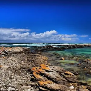 Explore The Garden Route for 15 days with Absolute Africa and discover unforgettable experiences - Photo 7