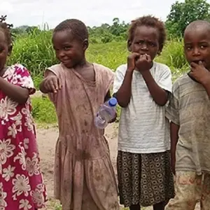 Explore Vic Falls to Dar Es Salaam for 11 days with Absolute Africa and discover unforgettable experiences - Photo 6