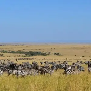 Explore African Sky for 19 days with Absolute Africa and discover unforgettable experiences - Photo 11