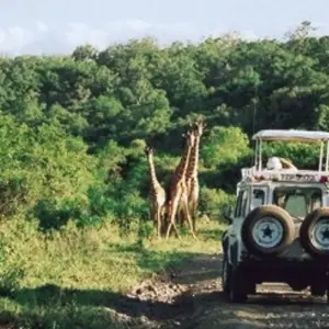 Explore Serengeti and Ngorongoro Crater for 5 days with Absolute Africa and discover unforgettable experiences - Photo 9