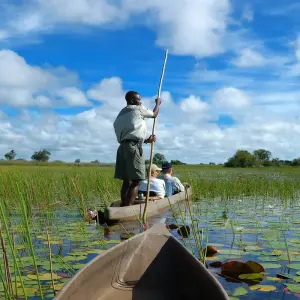 Explore 8-day Okavango Delta & Chobe Express (Camping) for 8 days with Acacia Adventure Holidays and discover unforgettable experiences - Photo 2