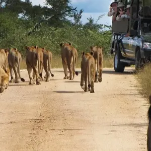 Explore 22-day Zanzibar, Victoria Falls & Kruger (Camping) for 22 days with Acacia Adventure Holidays and discover unforgettable experiences - Photo 3