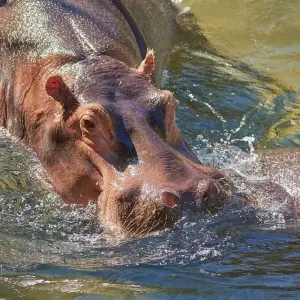 Explore 3-day Durban, Culture and Wildlife (Accommodated) for 3 days with Acacia Adventure Holidays and discover unforgettable experiences - Photo 6