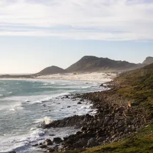 Explore 25-day Cape Town to Victoria Falls & Kruger (Camping) for 25 days with Acacia Adventure Holidays and discover unforgettable experiences - Photo 4