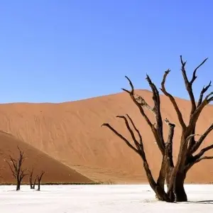Explore 11-day Cape Town to Namibia (Accommodated) for 11 days with Acacia Adventure Holidays and discover unforgettable experiences - Photo 3