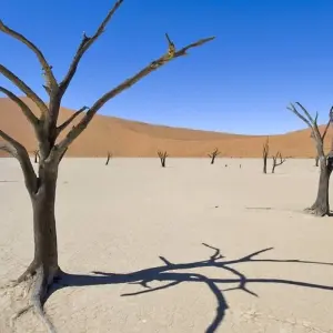 Explore 11-day Namibia to Cape Town (Accommodated) for 11 days with Acacia Adventure Holidays and discover unforgettable experiences - Photo 3