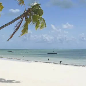 Explore 21-day Victoria Falls to Serengeti (Camping) for 21 days with Acacia Adventure Holidays and discover unforgettable experiences - Photo 7