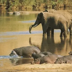 Explore 11-day Cape Town to Namibia (Accommodated) for 11 days with Acacia Adventure Holidays and discover unforgettable experiences - Photo 6