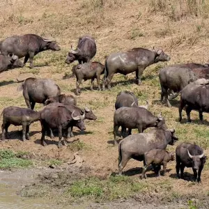 Explore 3-day Durban, Culture and Wildlife (Accommodated) for 3 days with Acacia Adventure Holidays and discover unforgettable experiences - Photo 9