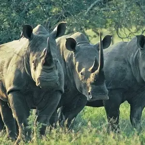Explore 22-day Zanzibar, Victoria Falls & Kruger (Camping) for 22 days with Acacia Adventure Holidays and discover unforgettable experiences - Photo 8