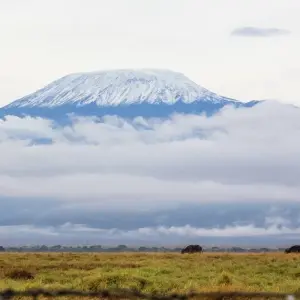 Explore 21-day Victoria Falls to Serengeti (Camping) for 21 days with Acacia Adventure Holidays and discover unforgettable experiences - Photo 9