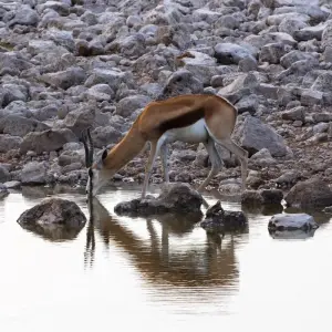 Explore 19-day Victoria Falls to Cape Town (Camping) for 19 days with Acacia Adventure Holidays and discover unforgettable experiences - Photo 9