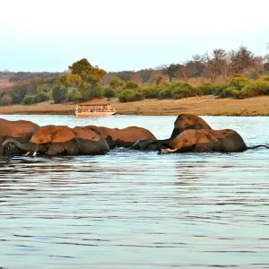 Explore 8-day Okavango Delta & Chobe Express (Camping) for 8 days with Acacia Adventure Holidays and discover unforgettable experiences - Photo 9