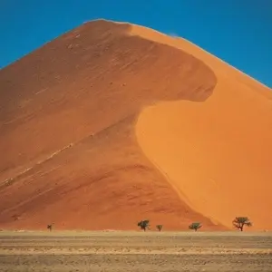 Explore 11-day Namibia to Cape Town (Accommodated) for 11 days with Acacia Adventure Holidays and discover unforgettable experiences - Photo 10