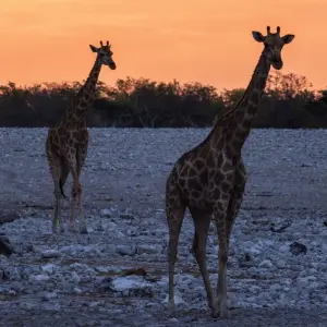 Explore 34-day Zanzibar to Cape Town (Accommodated) for 34 days with Acacia Adventure Holidays and discover unforgettable experiences - Photo 7
