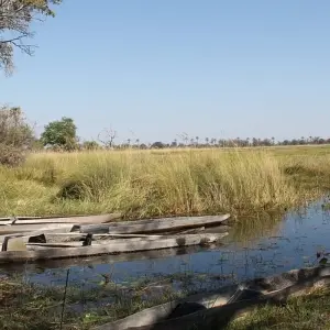 Explore 41-day Cape Town to Kenya (Camping) for 41 days with Acacia Adventure Holidays and discover unforgettable experiences - Photo 3