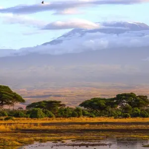 Explore 13-day Kenya & Tanzania Adventure (Camping) for 13 days with Acacia Adventure Holidays and discover unforgettable experiences - Photo 11