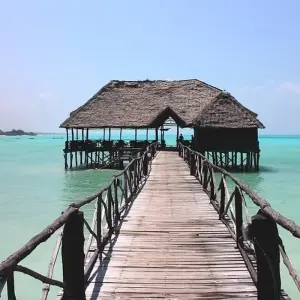 Explore 28-day Game Parks, Gorillas & Zanzibar (Camping) for 28 days with Acacia Adventure Holidays and discover unforgettable experiences - Photo 3