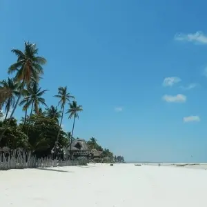 Explore 22-day Zanzibar, Victoria Falls & Kruger (Accommodated) for 22 days with Acacia Adventure Holidays and discover unforgettable experiences - Photo 5