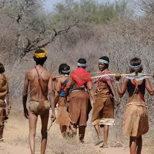 Explore 14-day Kruger to the Delta, Chobe & Victoria Falls (Accommodated) for 14 days with Acacia Adventure Holidays and discover unforgettable experiences - Photo 2