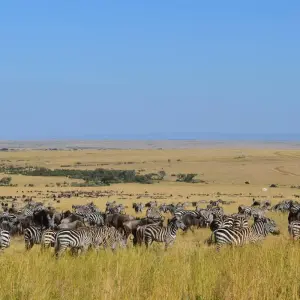 Explore 14-day Mozambique and Zimbabwe Explorer (Camping) for 14 days with Acacia Adventure Holidays and discover unforgettable experiences - Photo 4