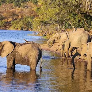 Explore 14-day Kruger to the Delta, Chobe & Victoria Falls (Accommodated) for 14 days with Acacia Adventure Holidays and discover unforgettable experiences - Photo 6
