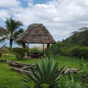 Explore 13-day Kenya & Tanzania Adventure (Accommodated) for 13 days with Acacia Adventure Holidays and discover unforgettable experiences - Photo 2