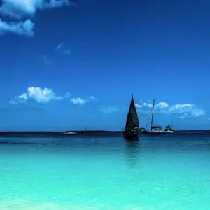 Explore 14-day Zimbabwe & Mozambique Explorer (Camping) for 14 days with Acacia Adventure Holidays and discover unforgettable experiences - Photo 5