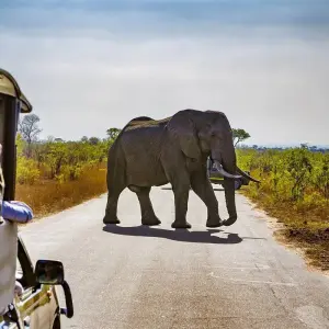 Explore 7-day Kruger to Victoria Falls (Camping) for 7 days with Acacia Adventure Holidays and discover unforgettable experiences - Photo 11