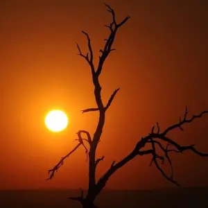 Explore 14-day Kruger to the Delta, Chobe & Victoria Falls (Accommodated) for 14 days with Acacia Adventure Holidays and discover unforgettable experiences - Photo 8