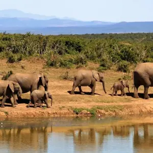 Explore 14-day Mozambique and Zimbabwe Explorer (Camping) for 14 days with Acacia Adventure Holidays and discover unforgettable experiences - Photo 8