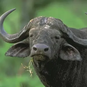 Explore 13-day Kenya & Tanzania Adventure (Accommodated) for 13 days with Acacia Adventure Holidays and discover unforgettable experiences - Photo 5