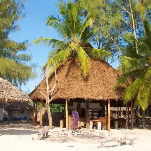 Explore 13-day Kenya & Tanzania Adventure (Accommodated) for 13 days with Acacia Adventure Holidays and discover unforgettable experiences - Photo 9