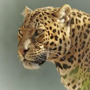 Explore 7-day Victoria Falls to Kruger (Accommodated) for 7 days with Acacia Adventure Holidays and discover unforgettable experiences - Photo 11