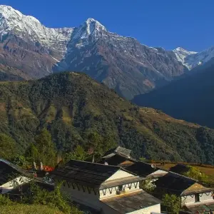 Explore Ghorepani Poon Hill Trek for 5 days with Accessible Adventure Pvt. Ltd and discover unforgettable experiences - Photo 3