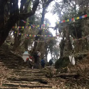 Explore Ghorepani Poon Hill Trek for 5 days with Accessible Adventure Pvt. Ltd and discover unforgettable experiences - Photo 5