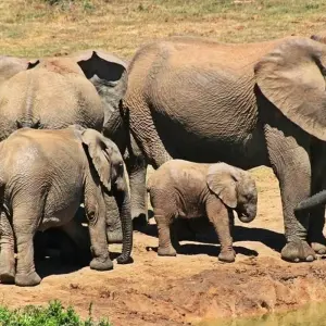 Explore 9-day Kruger, Matobo & Victoria Falls (Accommodated) for 9 days with Acacia Adventure Holidays and discover unforgettable experiences - Photo 9