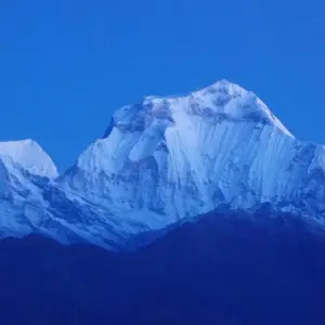 Explore Ghorepani Poon Hill Trek for 5 days with Accessible Adventure Pvt. Ltd and discover unforgettable experiences - Photo 8