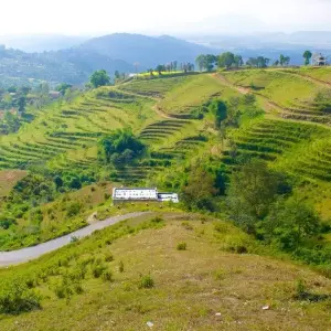 Explore Local Hiking Near The Kathmandu ( Chisapani Nagarkot) for 3 days with Accessible Adventure Pvt. Ltd and discover unforgettable experiences - Photo 7