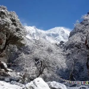 Explore Langtang Valley Trek for 10 days with Accessible Adventure Pvt. Ltd and discover unforgettable experiences - Photo 7