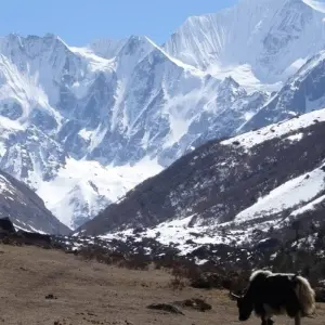 Explore Langtang Valley Trek for 10 days with Accessible Adventure Pvt. Ltd and discover unforgettable experiences - Photo 8