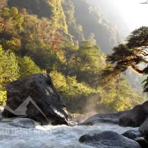 Explore Tamang Heritage Trail Trek for 14 days with Accessible Adventure Pvt. Ltd and discover unforgettable experiences - Photo 7