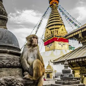 Explore Kathmandu Day Sightseeing City Tour with Private Car and Guide for 1 days with Accessible Adventure Pvt. Ltd and discover unforgettable experiences - Photo 3