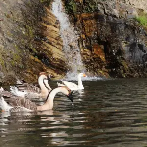Explore Gokyo Lakes And ValleyTrek for 13 days with Accessible Adventure Pvt. Ltd and discover unforgettable experiences - Photo 4