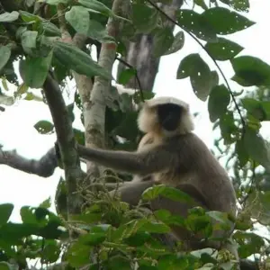 Explore Himalayan Highlights for 13 days with Ace the Himalaya and discover unforgettable experiences - Photo 6